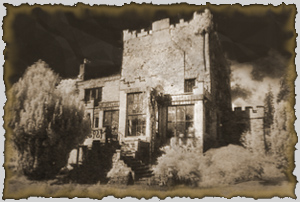 huntington castle, county carlow, southern ireland