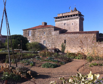 medieval castle garden